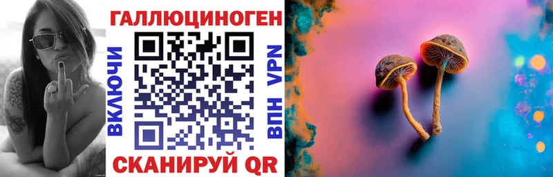 Галлюциногенные грибы Psilocybine cubensis  Черемхово 